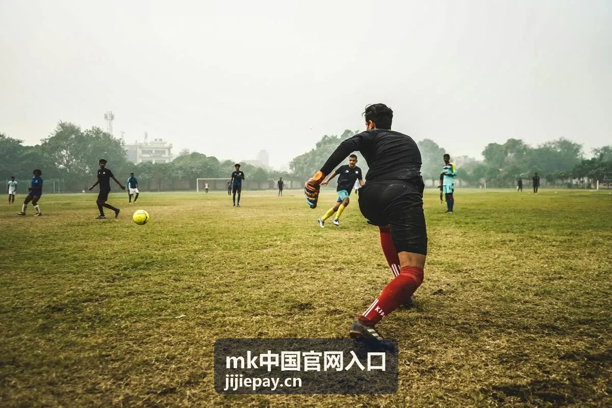 mk中国官网入口账号注册信息填写与验证码校验界面说明