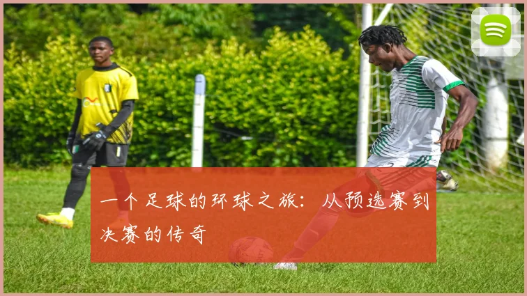 一个足球的环球之旅：从预选赛到决赛的传奇
