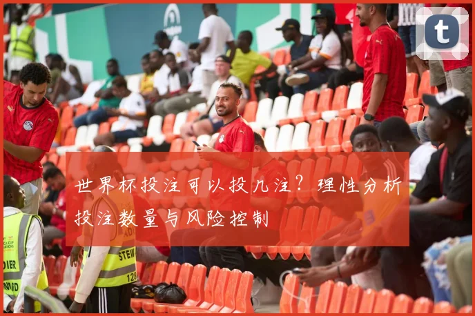 世界杯投注可以投几注？理性分析投注数量与风险控制