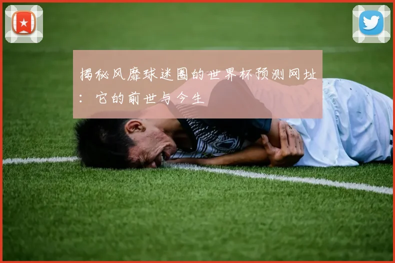 揭秘风靡球迷圈的世界杯预测网址:它的前世与今生